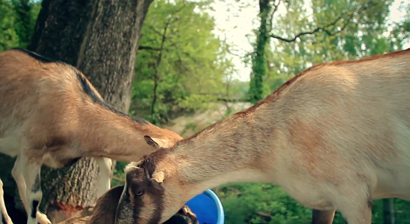 Screen Shot 2013 07 04 At 12.23.43 Pm